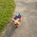 양곡농장 | 노견과 괴산 문광저수지 나들이, 로컬푸드 사과 구입 후기