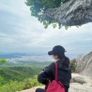 초원숲속가든 이미지