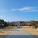 고려대학교안경콘택트 네이버블로그
