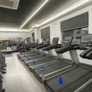 퀄리티짐 이미지