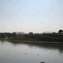 삼성국제여행사 이미지