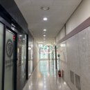 애오개약국 | 공덕역 속눈썹펌 이요샵 블랙틴팅펌 영양 추천 후기