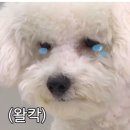 이레한우 이미지