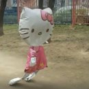 대홍건설(주) | 지난주 (로물루스, 대홍복숭아, 안셈, 올리브포차💕)