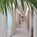 트로피피부과의원 이미지