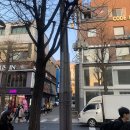 김소형한의원 네이버블로그