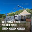 간절곶캠프펜션 | 울산 간절곶 펜션 추천 헤이메르 카라반 C5 후기 내돈내산 재방문 오션뷰 힐링 애견동반