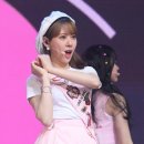 보라케이스