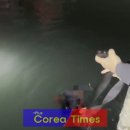 완도바다로 이미지