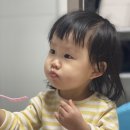 포천통키 이미지