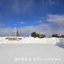시장(채소전) | 대한항공 일본 아오모리 특별 기내식 한국식 채식 및 일반석 기내식 후기