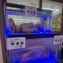 찬누리한방병원 | [인천/부평] 부평 삼겹살 직접 다 구워주는 맛집 "본집삼겹살부평점" 부평맛집