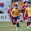호 이미지