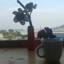 도도하우스1 이미지