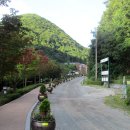 울산수목원 Daum카페