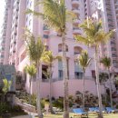 세부보홀 호텔 일일가격 이미지