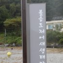 볼음도저어새생태마을 이미지