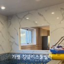 킹덤키즈-M 이미지