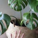 연빈화실 이미지