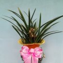 새올요양병원 이미지