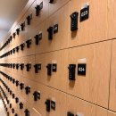 테크노스크린골프장 | 언주역 프리미엄 헬스장, 운동 후에 사우나까지 완벽한 코스의 '웰앤피트니스'