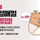 매일매일 이미지