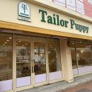 테일러퍼피 이미지