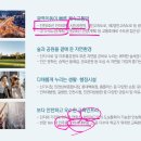 인하사대부 중,고등학교 이미지