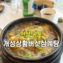 임실 상황버섯삼계탕 | 안성 공도 맛집 개성상황버섯삼계탕 내돈내산 솔직 후기