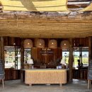 Good Forest | 치앙마이 신상 코끼리 카페 투어 대신 선택한 for the good times