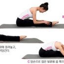 굿모닝건강요가 이미지