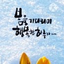 신성시장-3 이미지