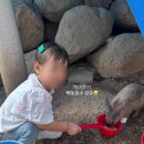 인출농장 이미지