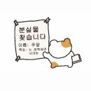 오히커피
