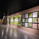 THE 숨 FOREST 이미지