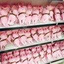 토토스토어 이미지