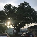 장보고당구장 이미지