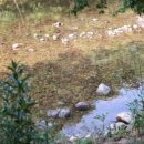 말티가는길 이미지