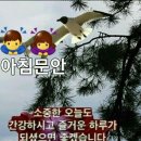 오늘부터 노마스크 과태로 10만원 이미지