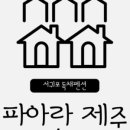 파아란제주 네이버블로그