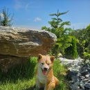 청풍호수펜션 이미지