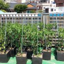 수정동농장 이미지