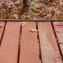 문경새재길 | 깊은 가을속으로 스며들다 문경새재길(24.11.10)