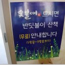 숯불애 이미지
