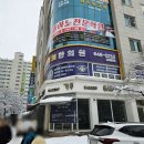 강릉 더 경희 한의원 산후 한약 한의원 후기