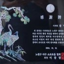 불암산스포츠타운 서울신문
