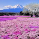 아름다운풍경 이미지