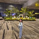 신이남식당 | 싱가포르 디즈니 크루즈 탑승 후기 (+도착 첫날 일정 꿀팁 전부 공개)