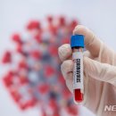 바이오포레스트 이미지