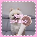 브릭216 | 쿠팡에서 산 4천원대 픽브릭 강아지브러쉬 후기